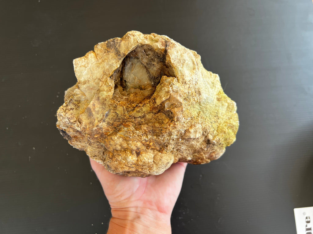 🪨 Hand-Dug Quartz Nodule with Natural Crystal Cavity