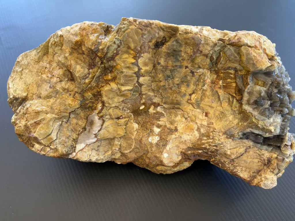 Crystal-Filled Agate Specimen – Southeast Queensland