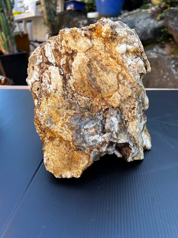 Geode Specimen