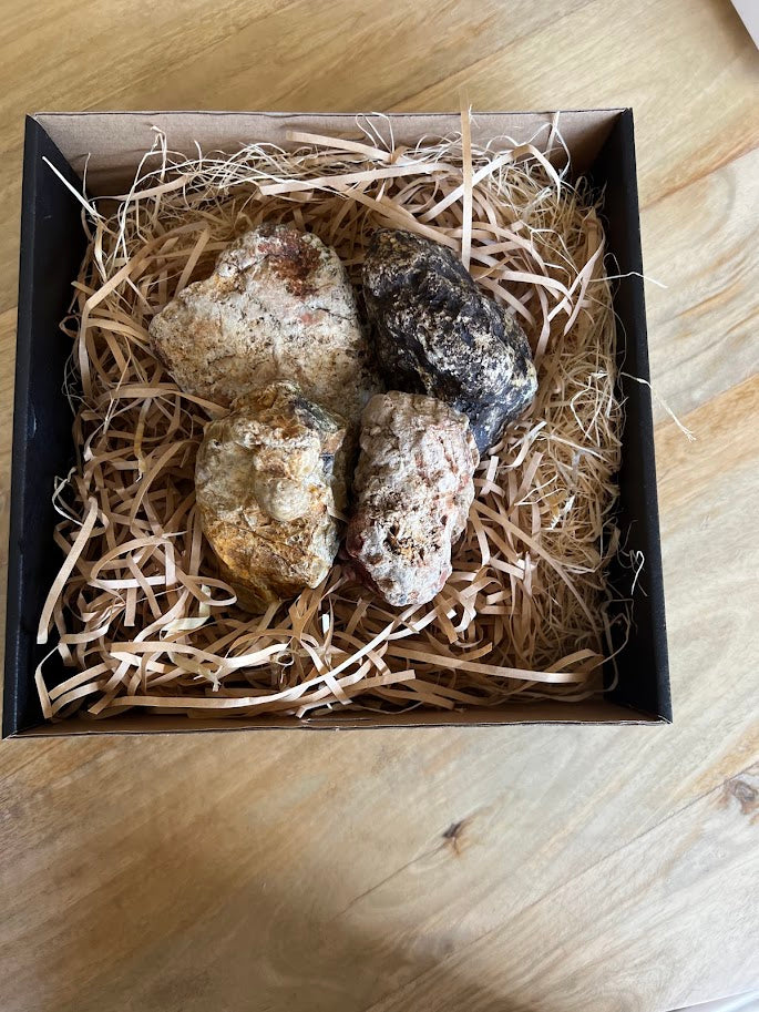 Australian Thunderegg Gift Box – 4 Natural Uncut Specimens