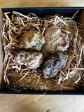 Australian Thunderegg Gift Box – 4 Natural Uncut Specimens
