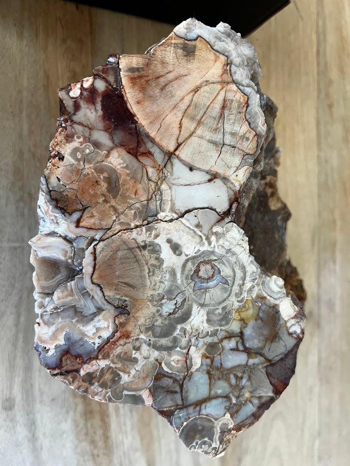 Large Polished Australian Thunderegg Specimen