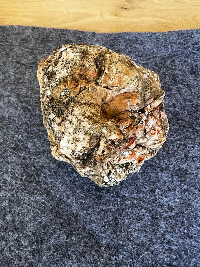 Natural Australian Thunderegg – Hand-Dug Uncut Specimen