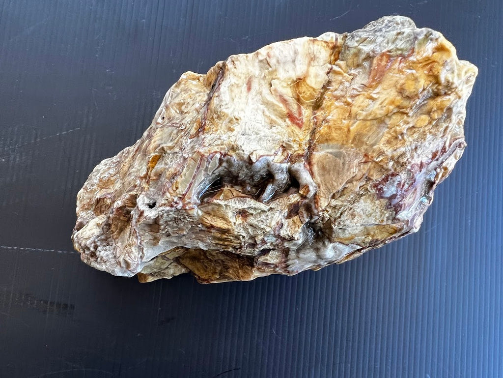Golden Australian Chalcedony / Agate Rough Specimen