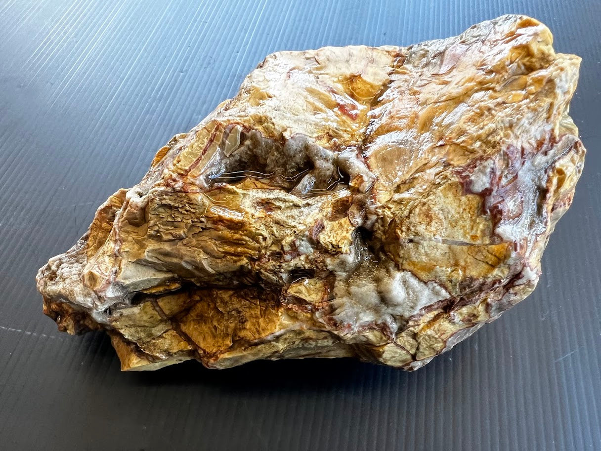 Golden Australian Chalcedony / Agate Rough Specimen