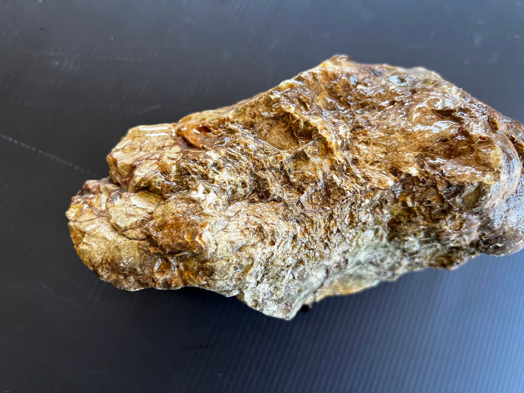 Golden Australian Chalcedony / Agate Rough Specimen