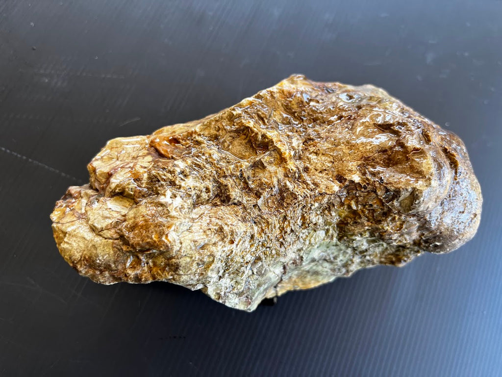 Australian Thunderegg Specimen with Natural Crystal Cavity