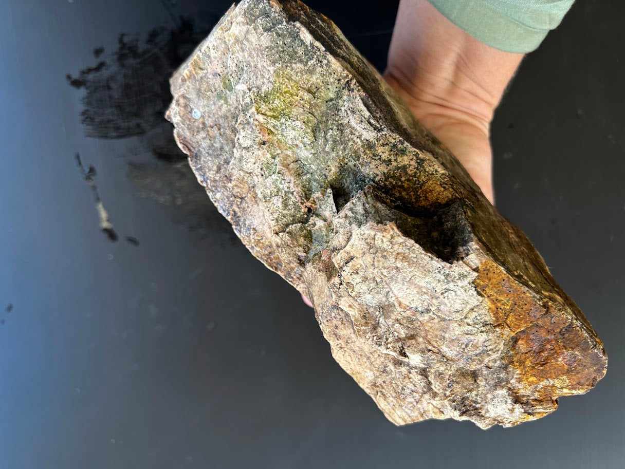 Large Australian Petrified Wood Specimen – Natural Rough Display Piece