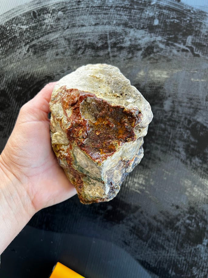 Australian Red Jasper & Chalcedony Rough Specimen
