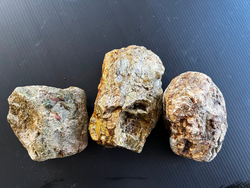 Set of 3 Hand-Dug Australian Thundereggs – Natural Uncut Specimens
