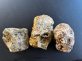 Set of 3 Hand-Dug Australian Thundereggs – Natural Uncut Specimens