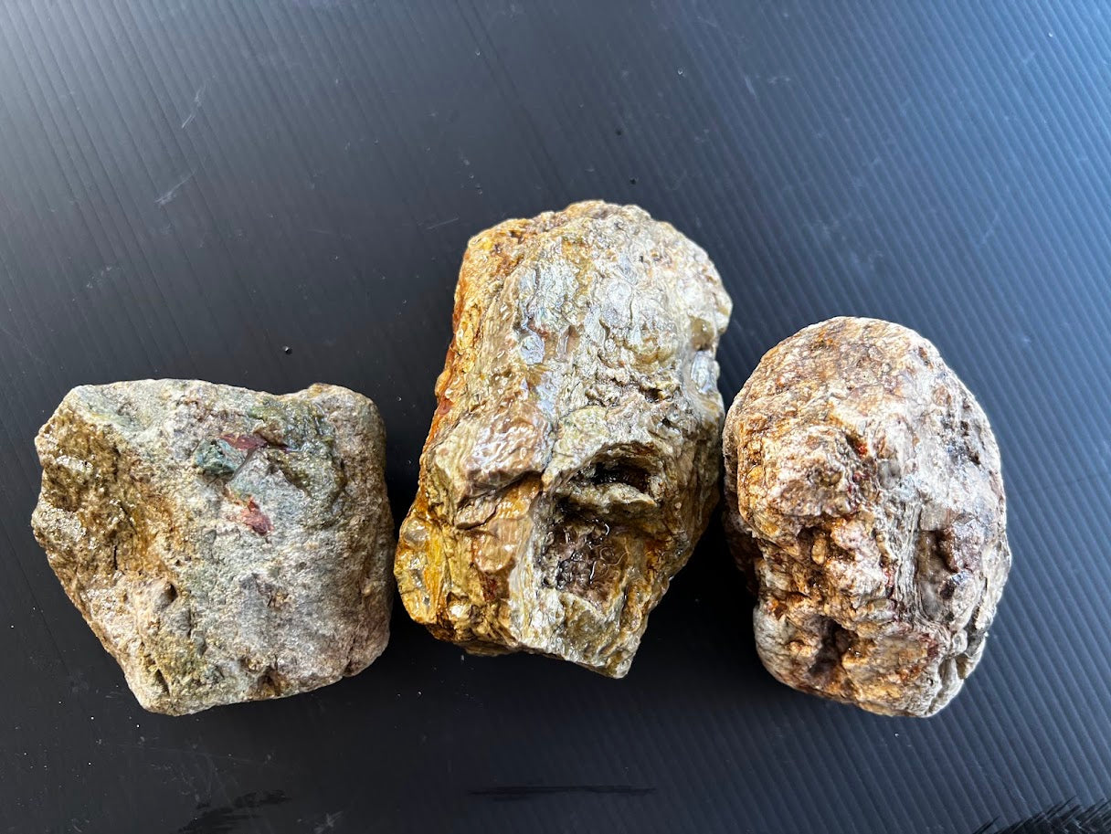 Set of 3 Hand-Dug Australian Thundereggs – Natural Uncut Specimens