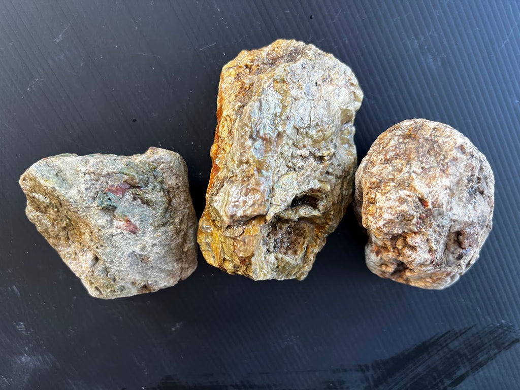 Set of 3 Hand-Dug Australian Thundereggs – Natural Uncut Specimens