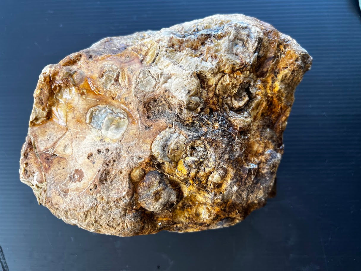 Natural Rough Collector Piece