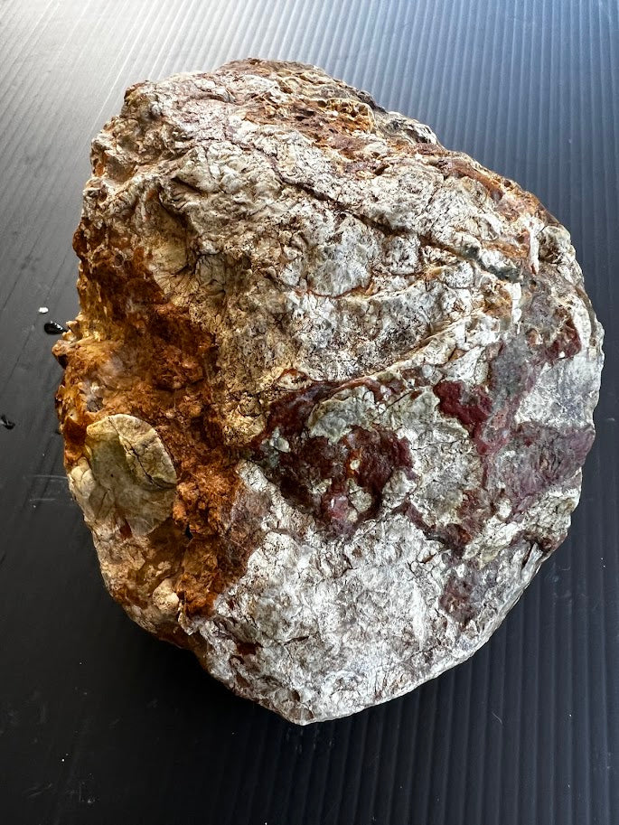 Natural Rough Collector Piece