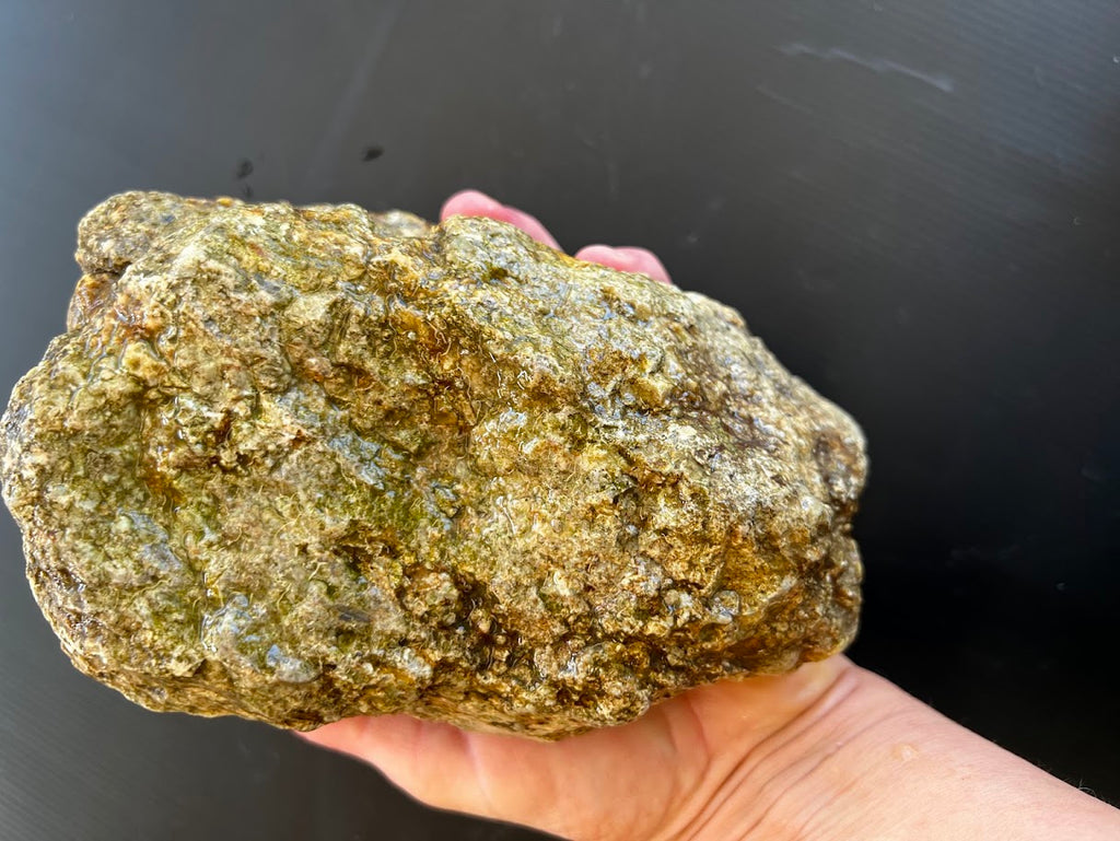 Petrified Wood Specimen – Natural Rough Fossil