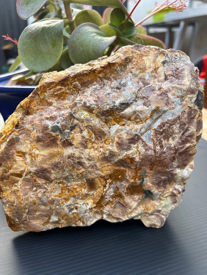ate Rough Specimen – Natural Lapidary Stone – SE Queensland