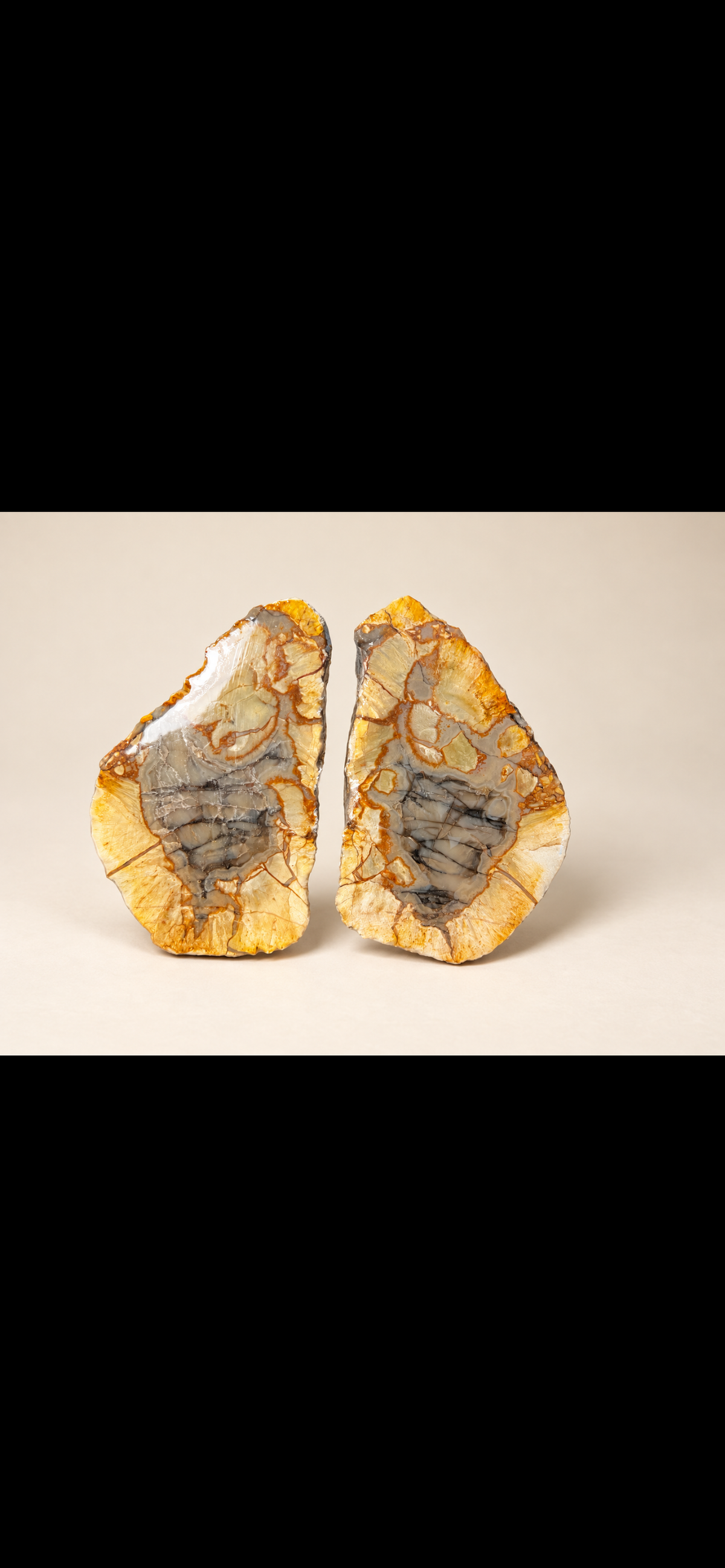 Golden & Charcoal Stone Display Pair