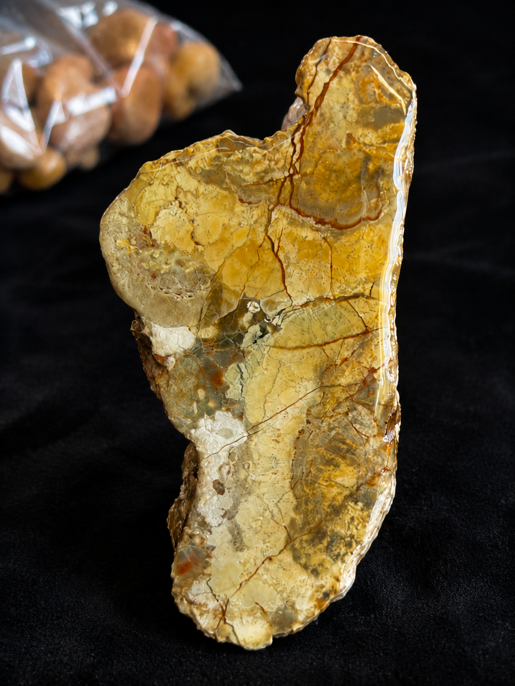 Golden Trails –  Australian Stone Specimen 💛🪨
