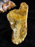 Golden Trails –  Australian Stone Specimen 💛🪨