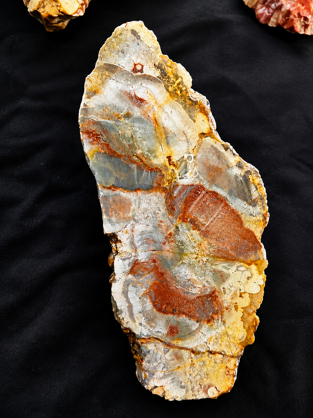 🪨 The Lost Valley Australian Agate, Chalcedony & Jasper Specimen