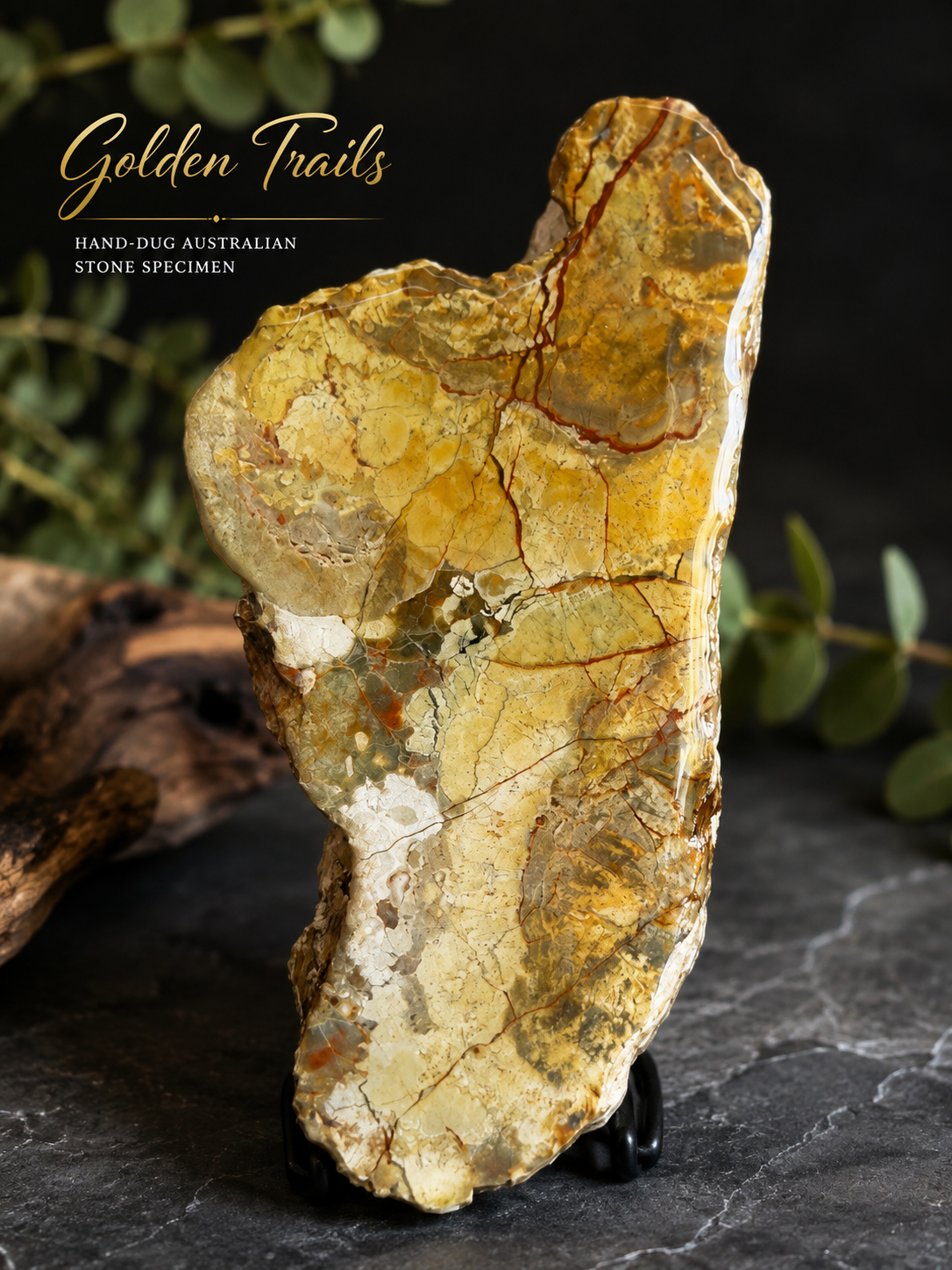Golden Trails –  Australian Stone Specimen 💛🪨