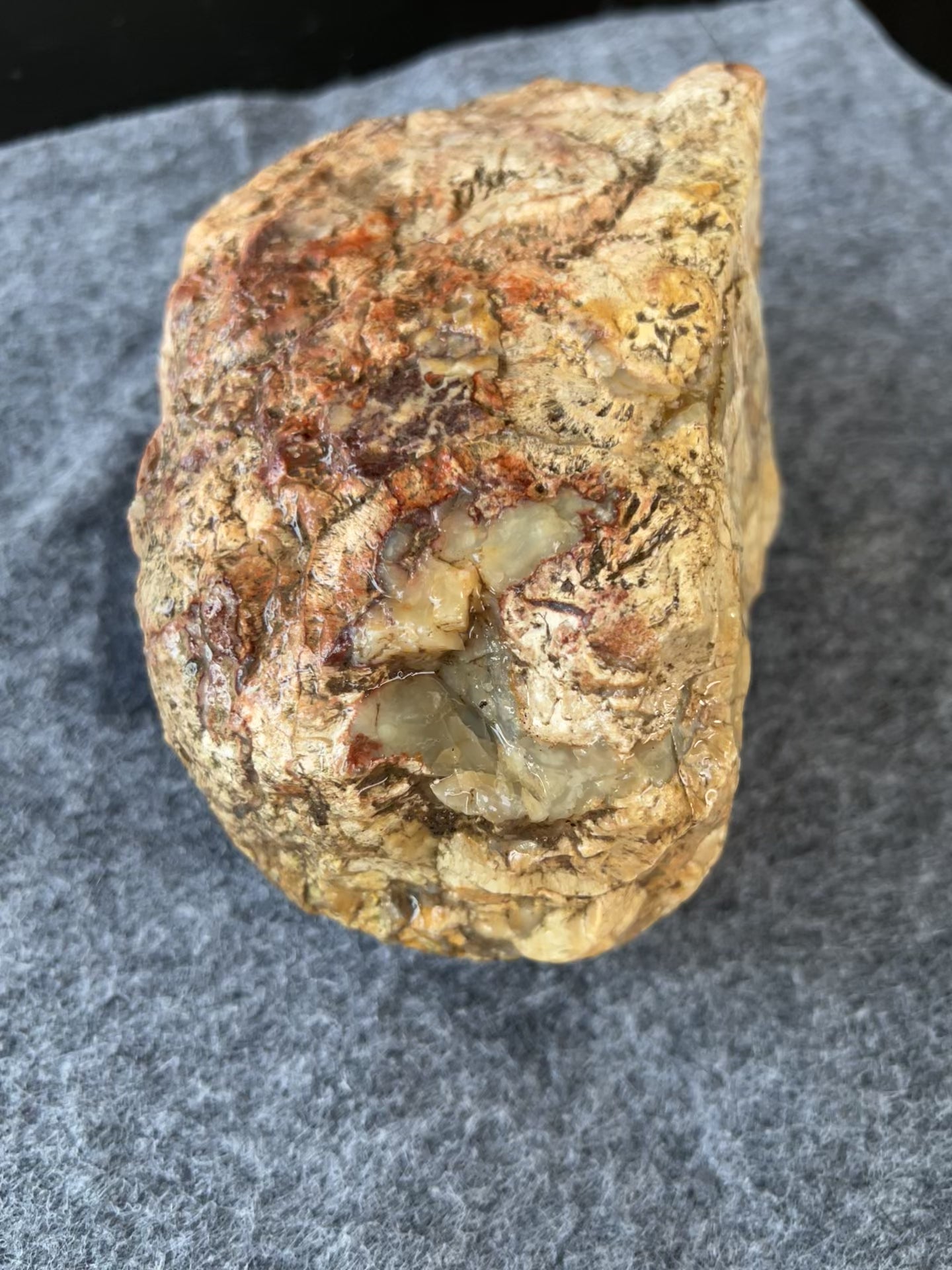 Natural Australian Exposed Agate | Ironstone Patterns | Collector Specimen